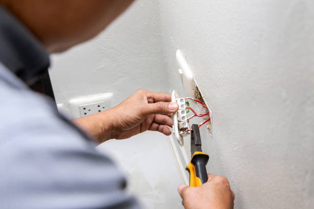 Best Ceiling Fan Installation Electrician  in Horse Shoe, NC
